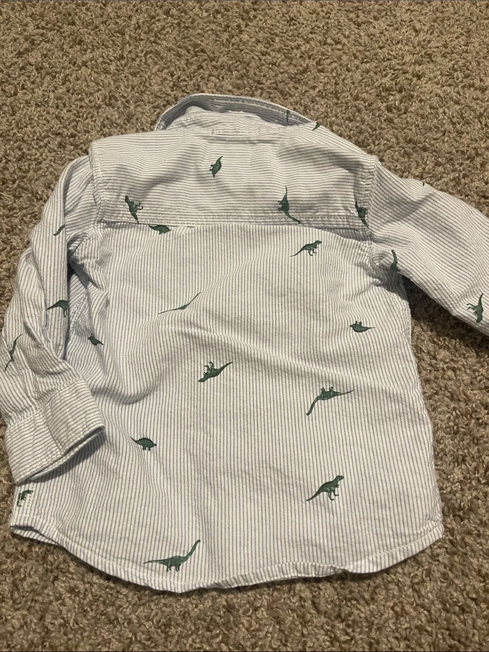 Carter’s dinosaur button down